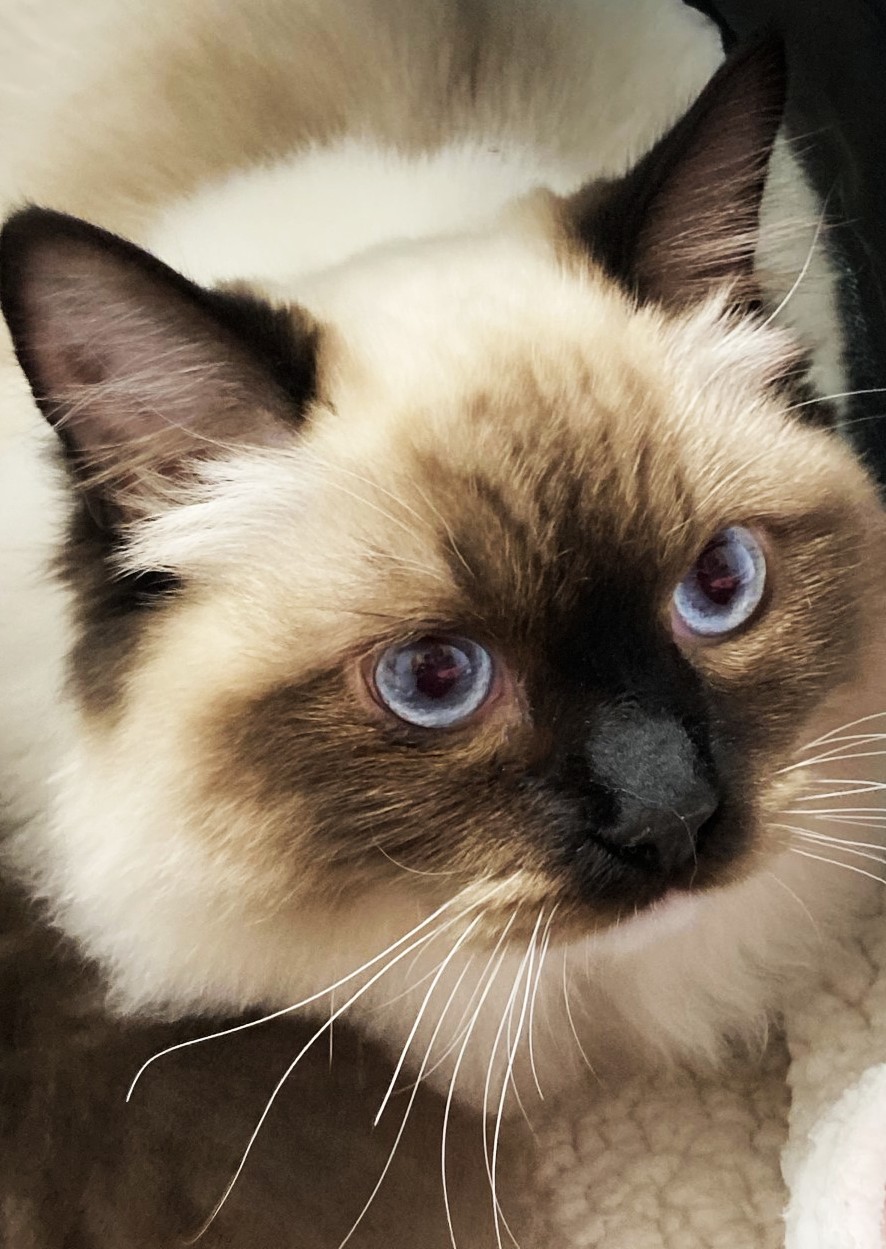 Emme profile pic